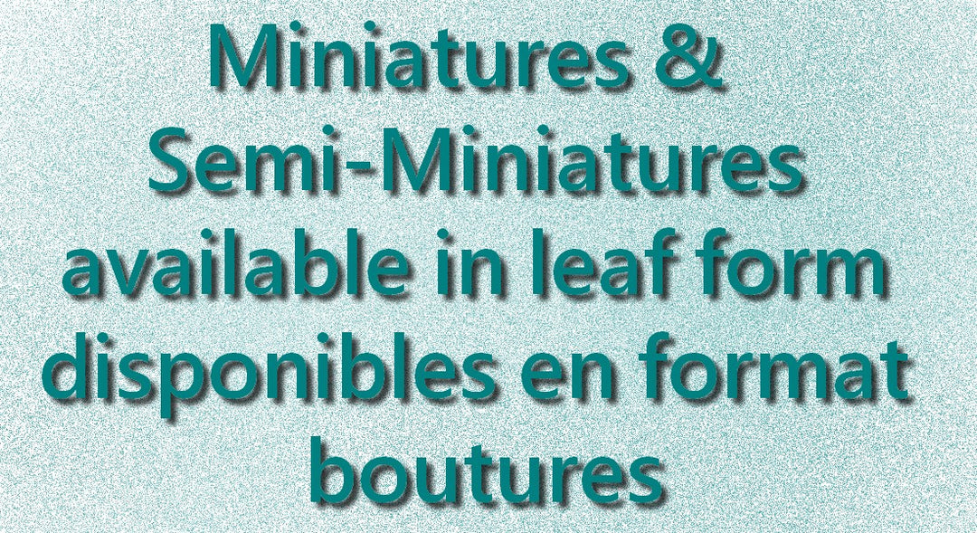 Minis & semis (cuttings)