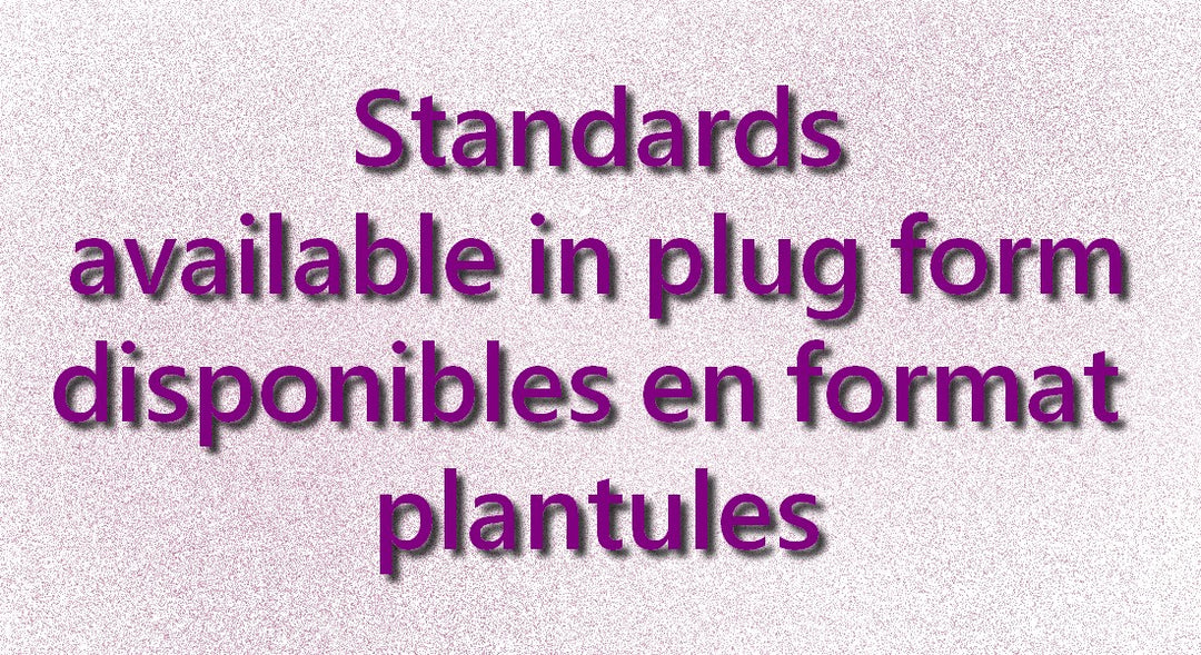 Standards (plugs)
