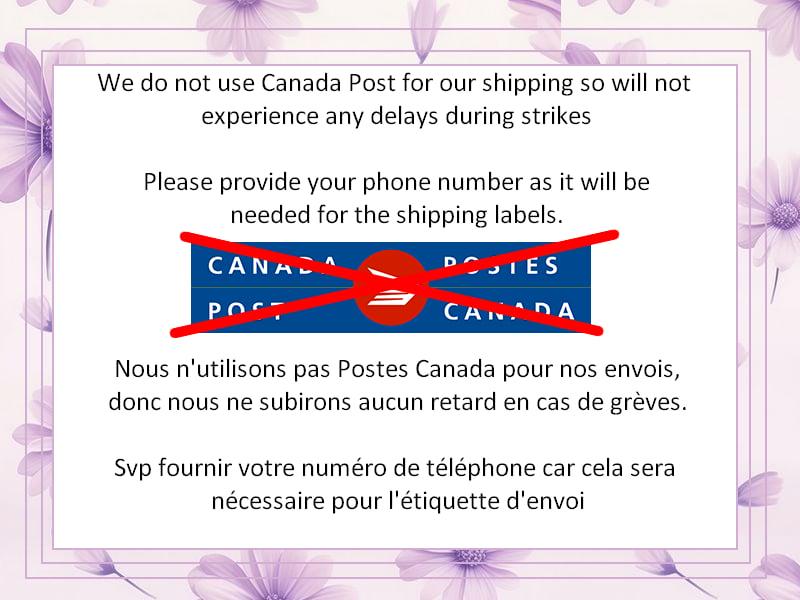 Aeschynanthus Lobbianus Cutting (1 cutting with 4+ nodes)