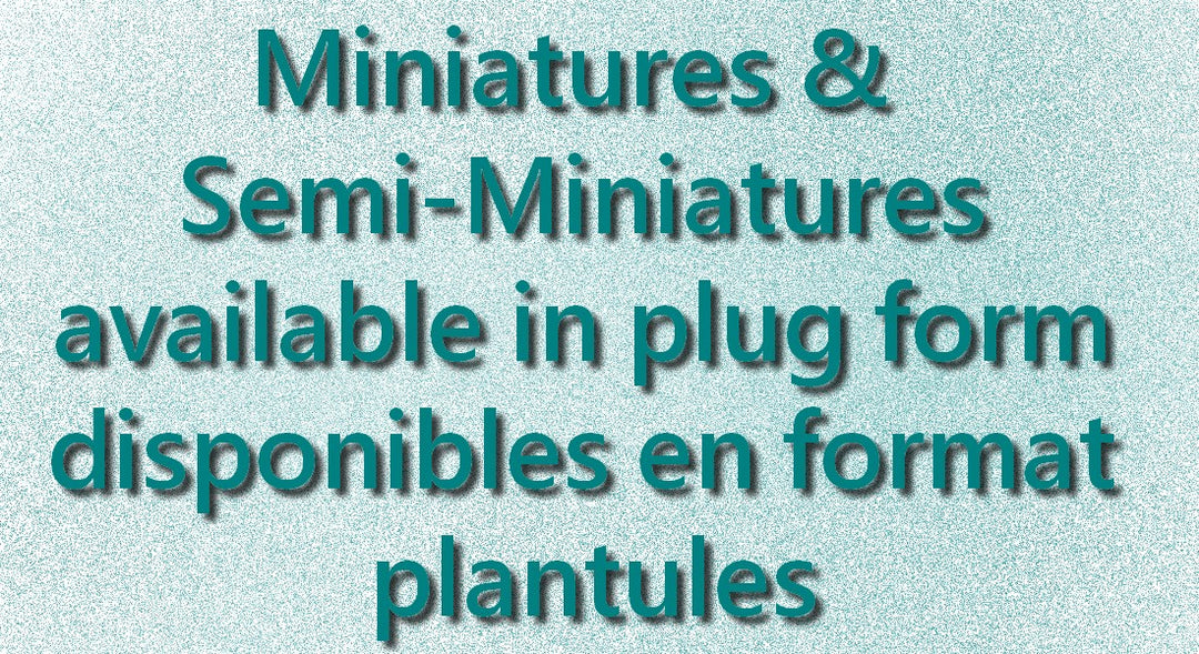 Minis & semis (plugs)