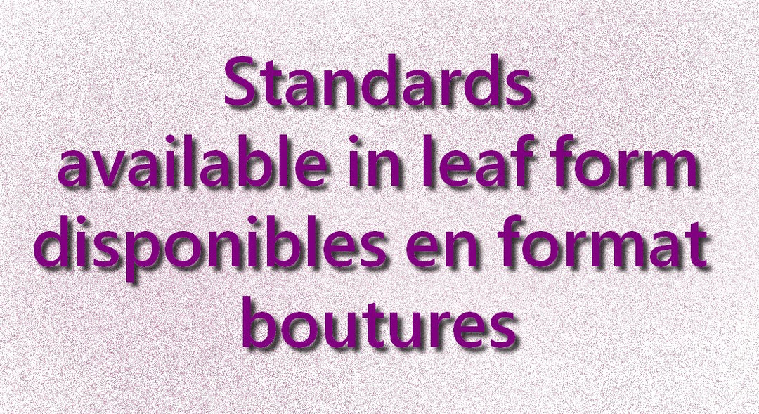 Standards (cuttings)