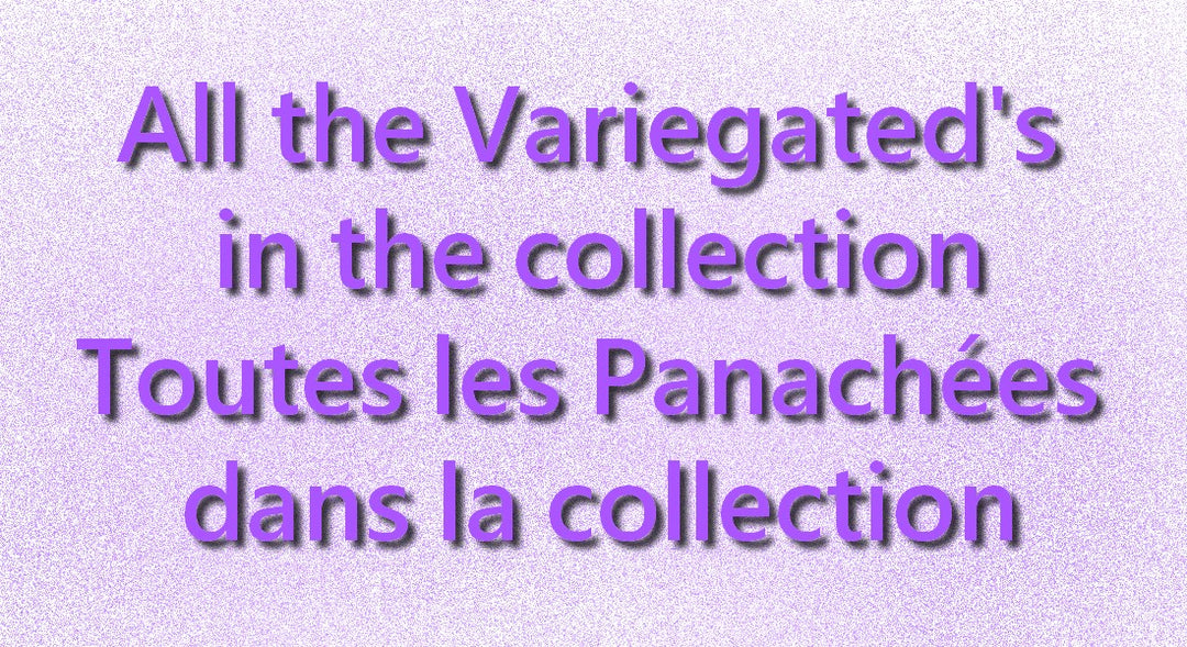 Variegated's the complete collection